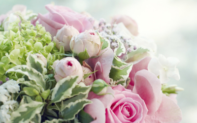 Ανθοπωλείο Συντάγματος