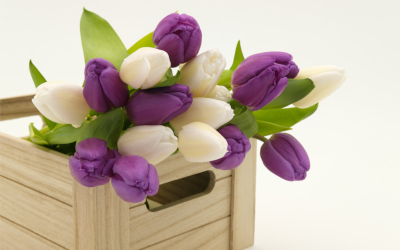 Ανθοπωλείο Συντάγματος